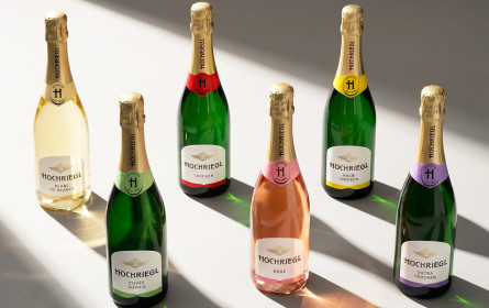 Hochriegl präsentiert sich in neuem Design