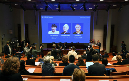 Nobelpreis für Medizin für Optogenetiker