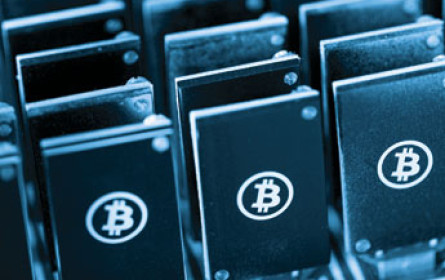 Der Angriff der Bitcoin-Kinder