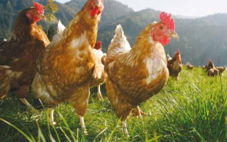 Selbstfürsorge als größtes Kaufmotiv für Bio-Produkte