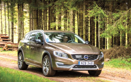 Der Abenteurer in uns allen!