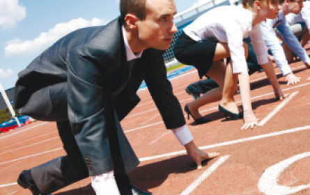 Platzhirsch vs. Upstart