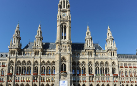 Inserate: Wien größter Einzelwerber