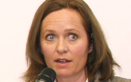 Werbebranche wächst heuer kaum