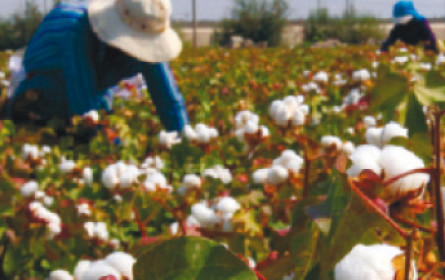 Unternehmen haben es in der Hand