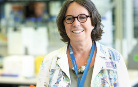 „Die guten Köpfe finden schon den richtigen Ort“