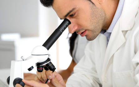 Arzneimittelkosten steigen an