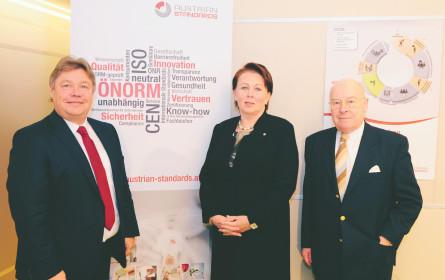 Normen als Strategieinstrument