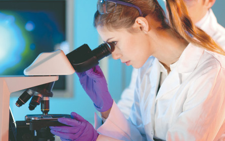 Biotechnologie vor den Vorhang