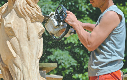 Lebenslauf: Hobbys gern gesehen