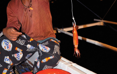 WWF hat großen Fisch am Haken