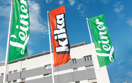 Elektrisierendes Zukunftskonzept