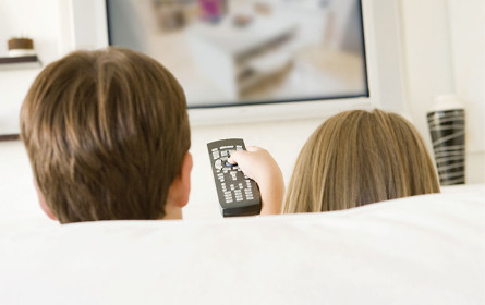 Leichtes Minus im TV-Jänner