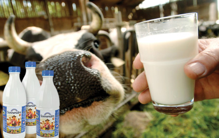 Eine Mio. € Nachbarshilfe, aber keine Schuldeinsicht