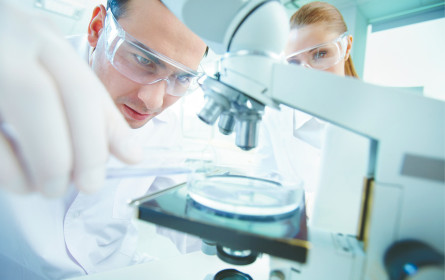 Neue Deals werten den Forschungsstandort auf