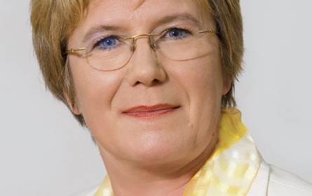 „Spagat zwischen Job und Familie”