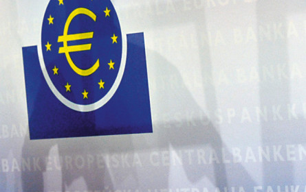 Unter der Lupe: EZB beginnt, Anleihen zu kaufen