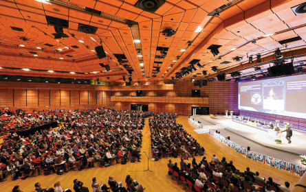 Ohne Diagnose kein Heil