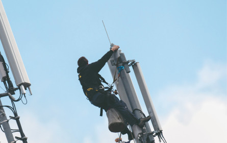 Neue und „alte” Player am Markt