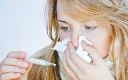 Grippe kostet Millionen