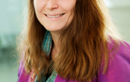 Die digitalen Trends 2015 fürs Business nutzen