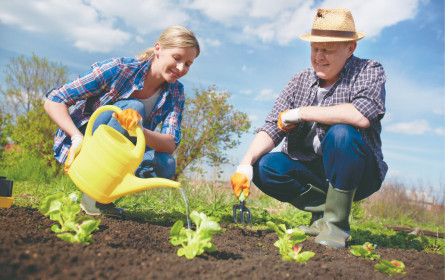 Das Geschäft mit den Gartlern