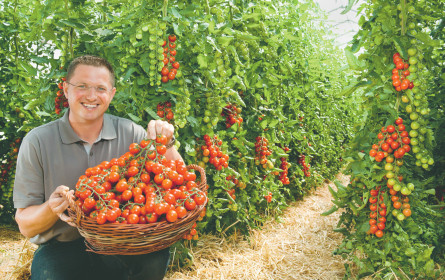Gesunder Boden ist der Grund für gutes Essen
