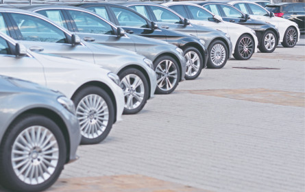 Zuwachskaiser Europa und China