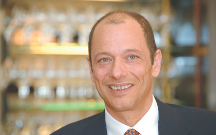 Junges Gemüse sucht nach neuen, frischen Beeten