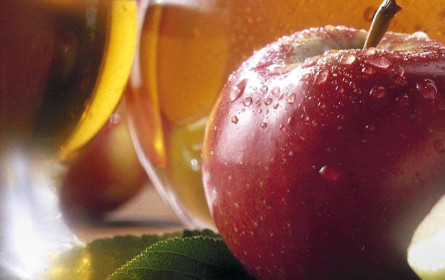 „Rot-weiß-rot” sagt nichts aus