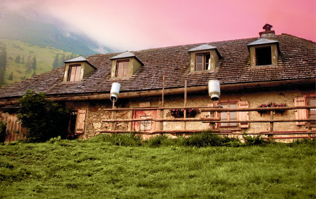 Die „Magie des Gehens”