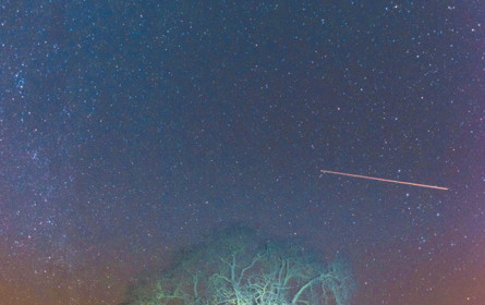 Manager suchen Antworten in den Sternen