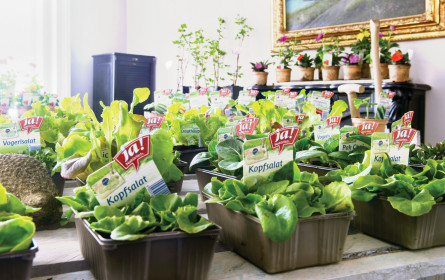 Besonders die Jungen lieben Bio