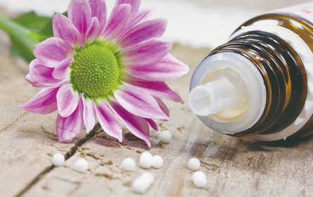 Homöopathie-Markt wächst