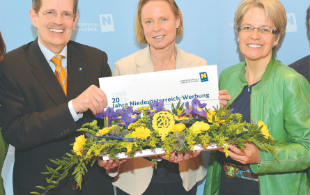 Destinationsmanagement als Schlüssel zum Erfolg