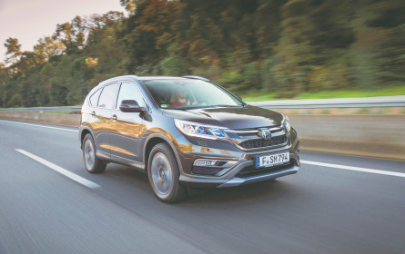 Angemessene Alternative im boomenden Segment