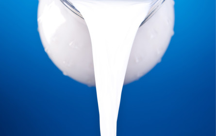 Werbelüge oder Nährstoffquelle?