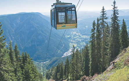 Seilbahnen: rund 2%