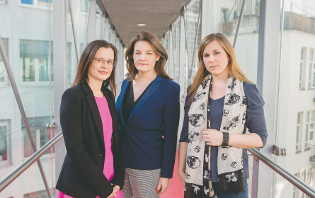 „Faymann allein ist kein Cover”