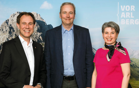 In Vorarlberg ist Arbeiten in Netzwerken angesagt