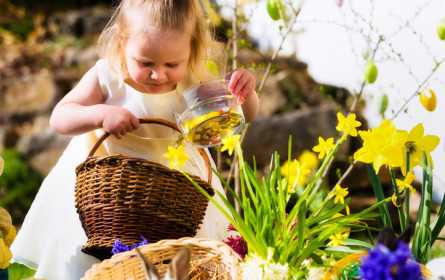 Erstes Quartal mit 1,9% im Plus