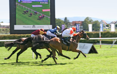 Glücksspiel-Umsätze steigen ungebremst