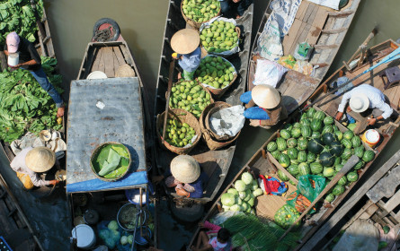 Superfood: supertrendy, exotisch & superhealthy