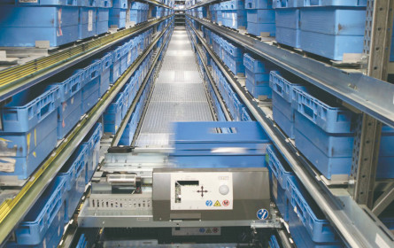 Brancheneinblicke für Nachwuchs