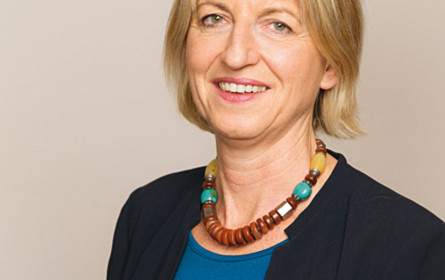 „Einzigartige Wachstums-Stories”