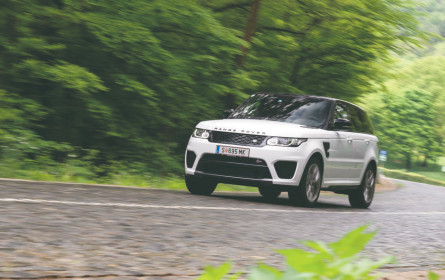 Sportlicher Lord beliebt nun auch zu brüllen