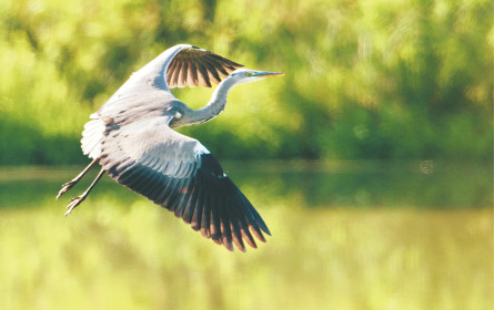 AXA IM: Responsible Investments legen zu