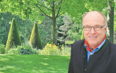 Pflanzen kaufen online: „Da resignieren Kunden”