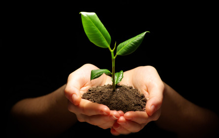 Mehr Verantwortung im Umgang mit Ressourcen ist notwendig
