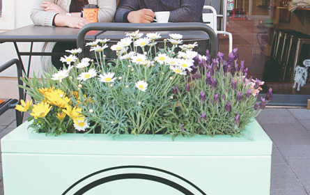 Nachhaltig konsumieren im zwölf